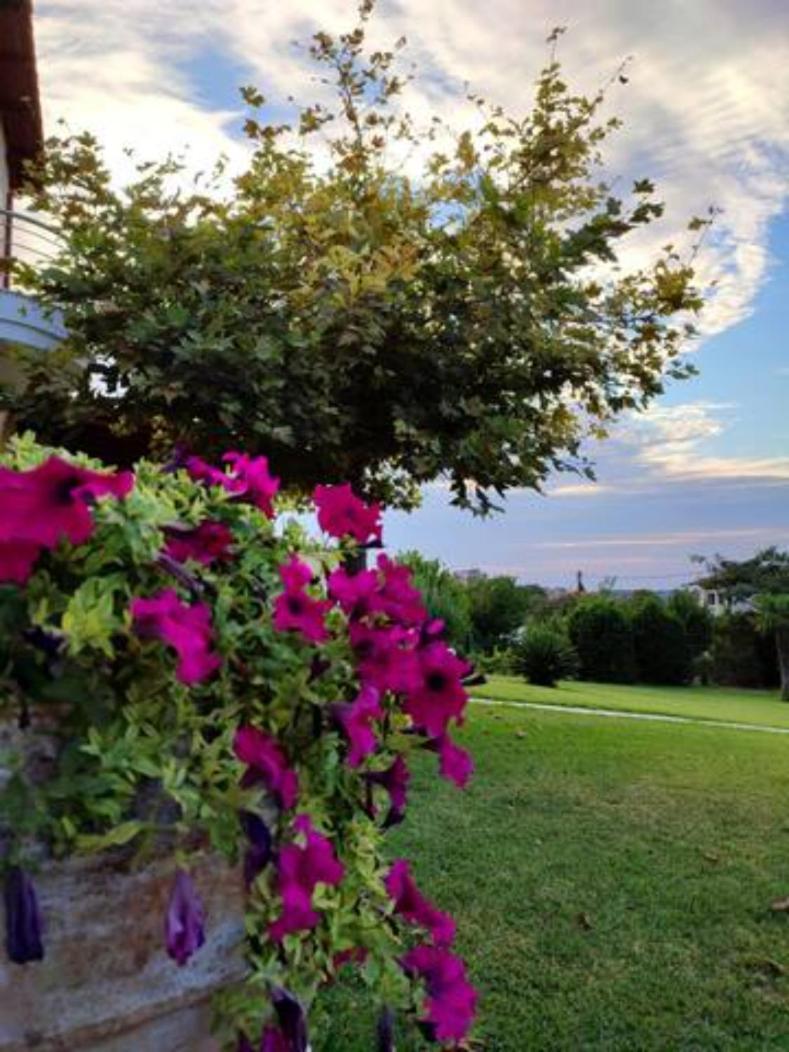 Wonderful Villa With Great View In Posidi-Kalandra Exterior foto